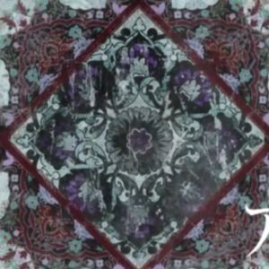 Meet your Posher, Alcina